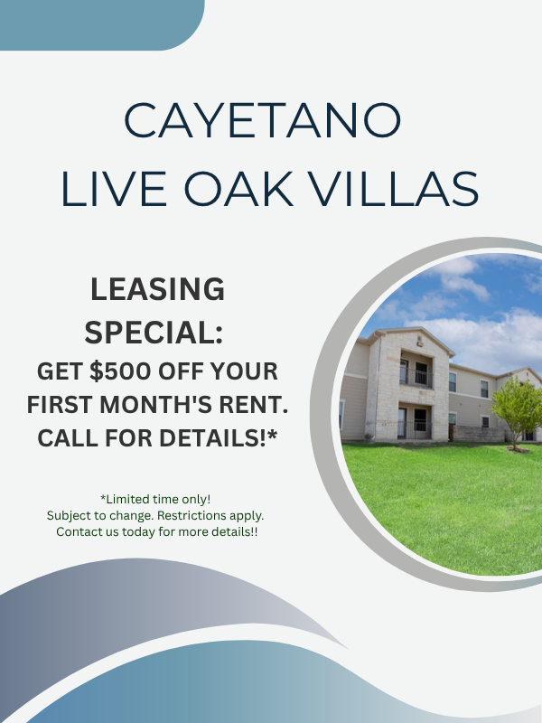 Leasing special